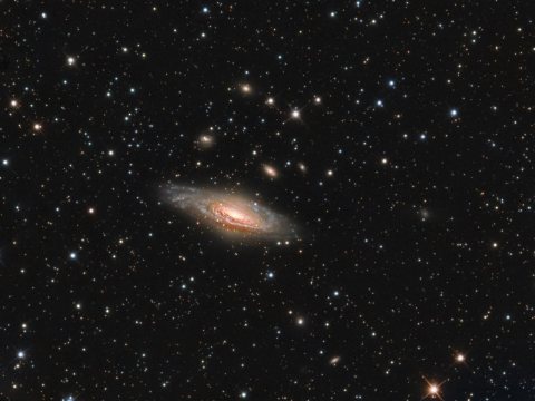 NGC7331