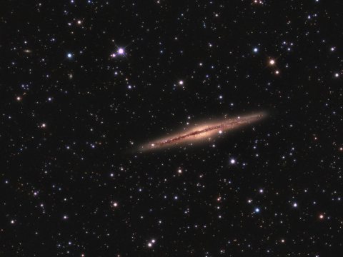 NGC891