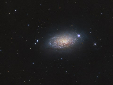 M63_LRGB
