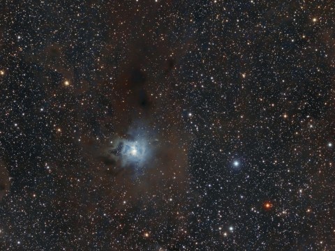 NGC7023