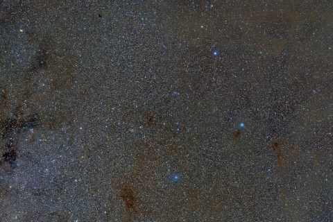 Cepheus