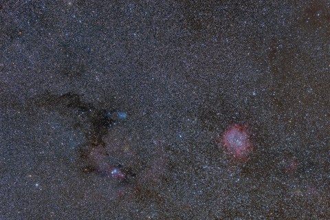 Rosetta_widefield