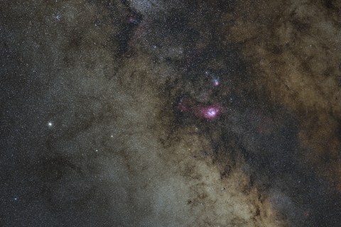 lagoon-and-triffid_small