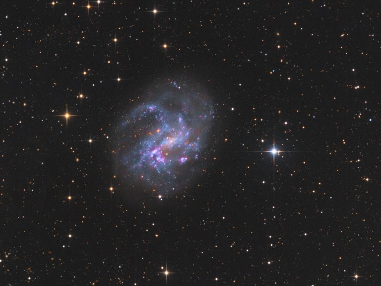 NGC4395_LRGB_v2_crop
